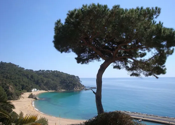 וילה La Gaviota יורט דה מאר