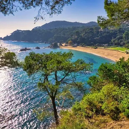 La Gaviota Villa *