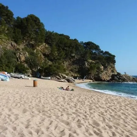 La Gaviota فيلة *