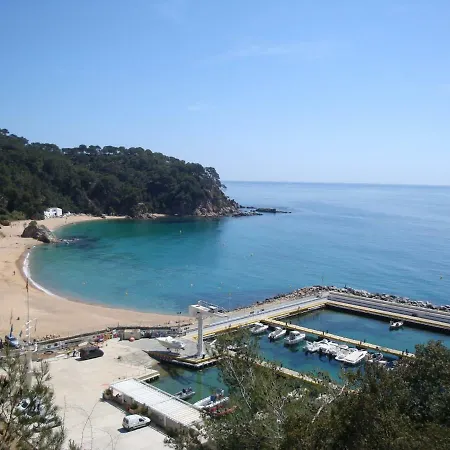 La Gaviota