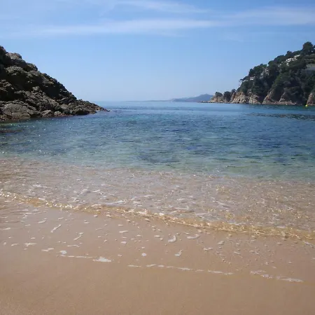 La Gaviota *